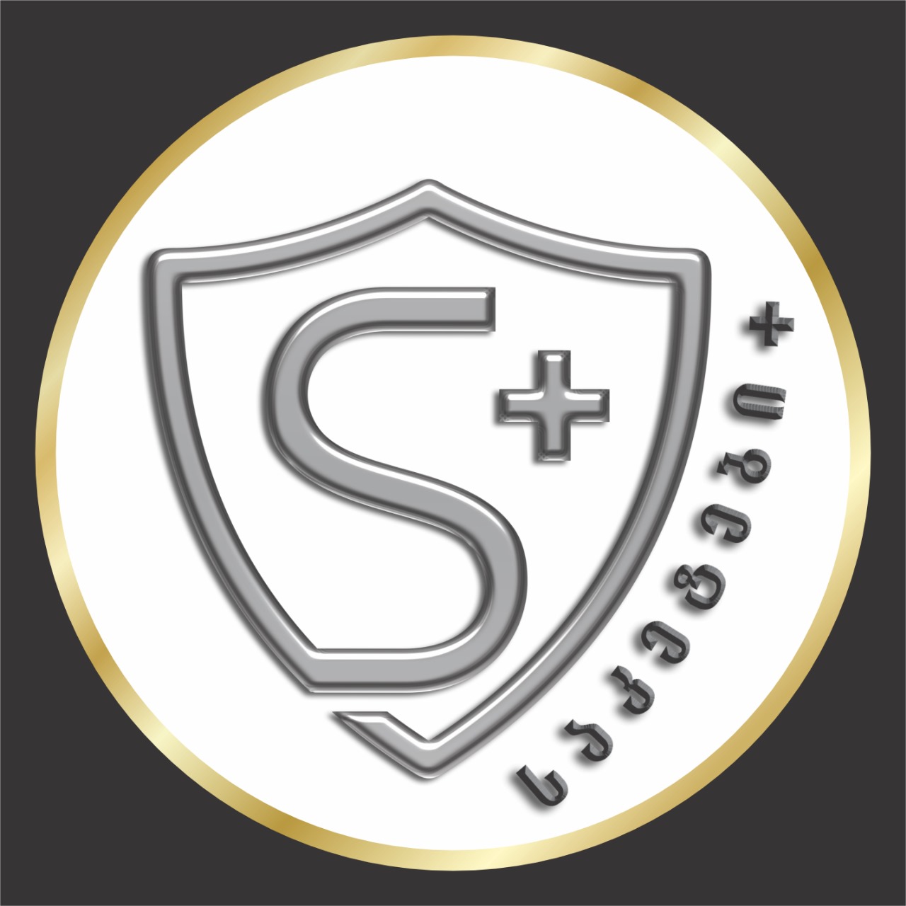 Saketebi+ ლოგო